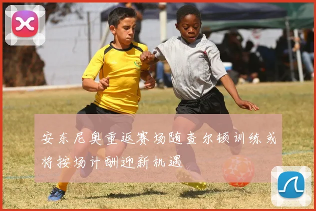 安东尼奥重返赛场随查尔顿训练或将按场计酬迎新机遇