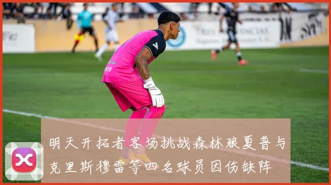 明天开拓者客场挑战森林狼夏普与克里斯穆雷等四名球员因伤缺阵