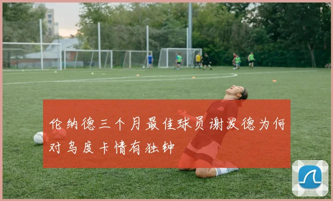 伦纳德三个月最佳球员谢泼德为何对乌度卡情有独钟