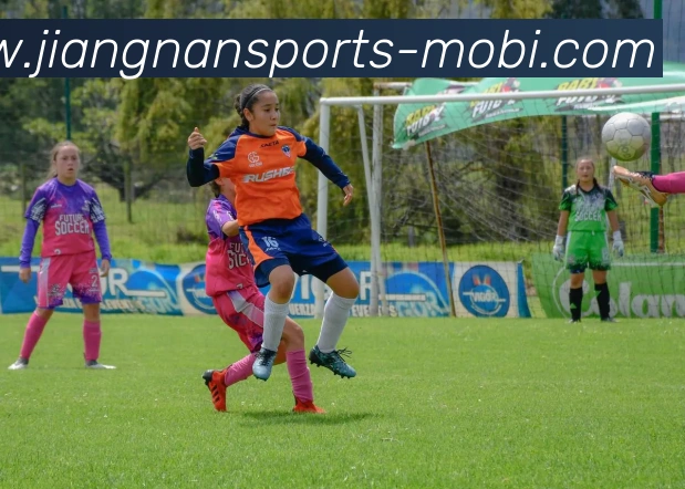 江南体育APP 封面图